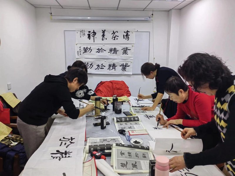 舞蹈艺术：从初学者到专业舞者的阶梯